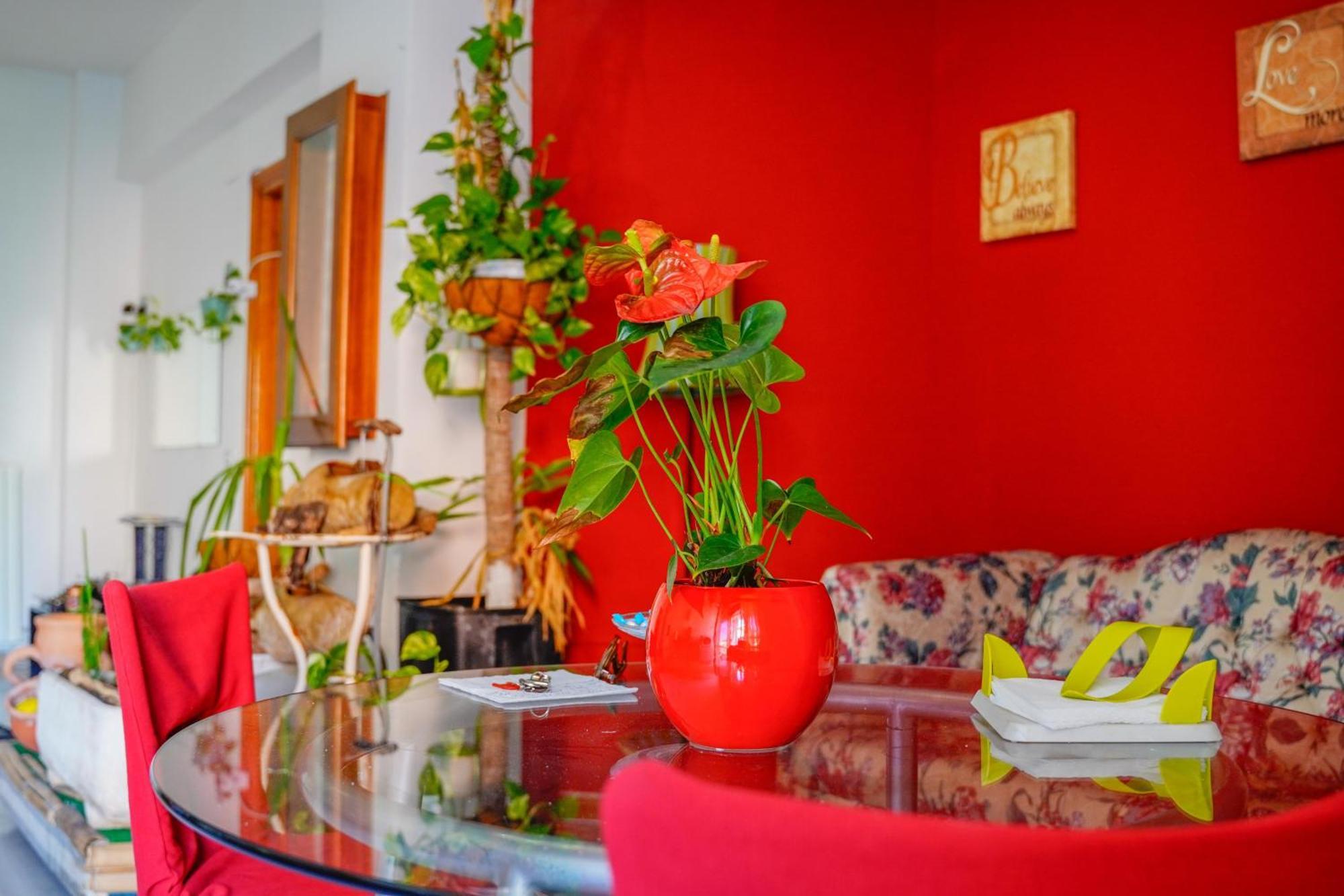 Bed & Breakfast La Terrazza Hotell Latina Eksteriør bilde